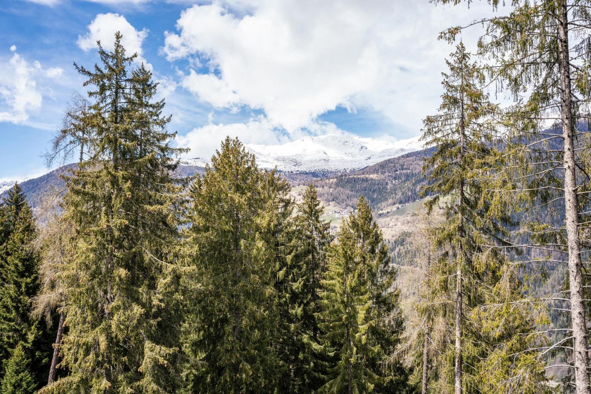 Casa Roby Al Centro Delle Dolomiti Leilighet Marilleva Eksteriør bilde